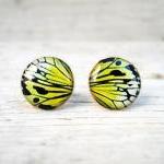 Butterfly wing earrings, Mustard Yellow earring studs