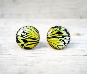 Butterfly wing earrings, Mustard Yellow earring studs