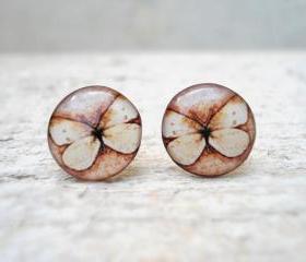 Caramel Brown and Beige Butterfly Earrings, Ear Studs Posts